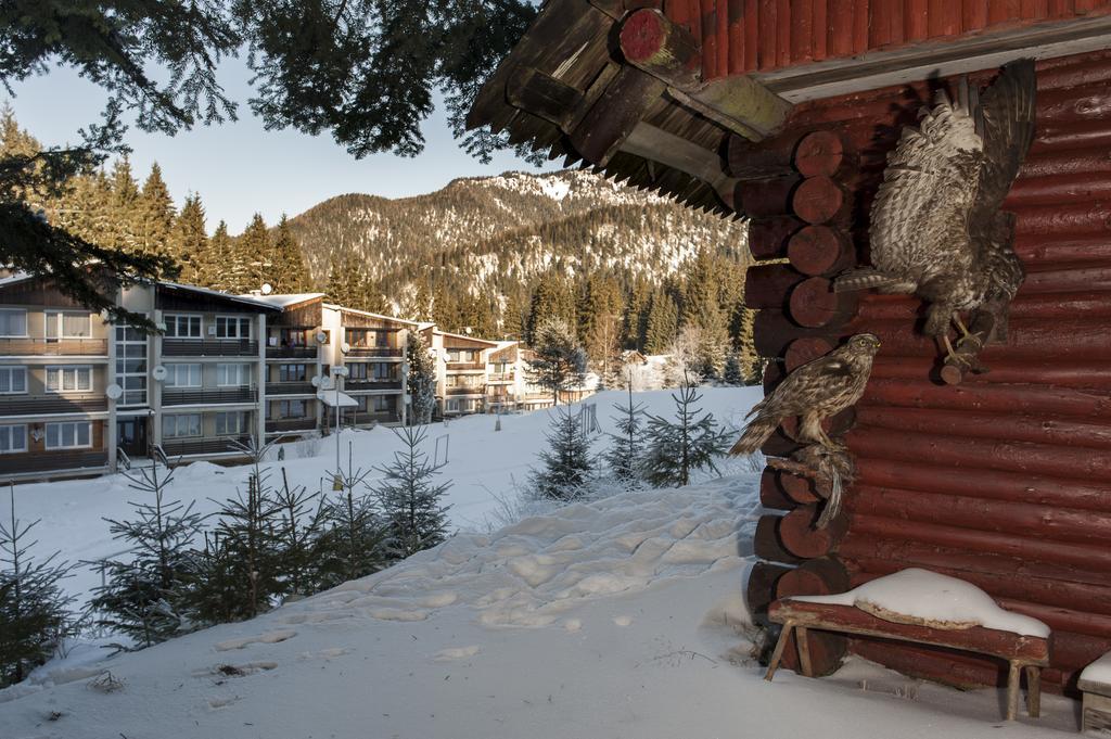 Ski Apartman Chopok Jasna ديمانوفْشكا دولِنا المظهر الخارجي الصورة